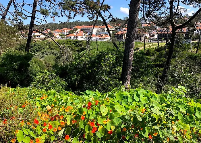 Starfish House Apartment *