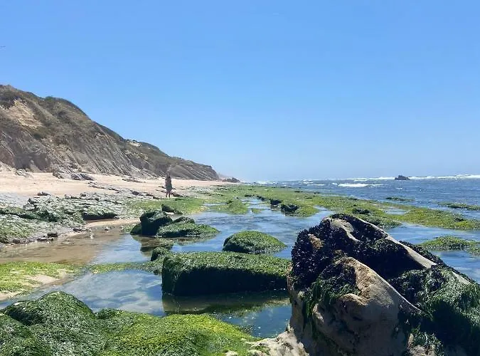 Starfish House Apartment *