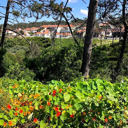 Starfish House Apartman *