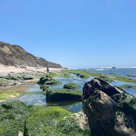 Starfish House شقة *